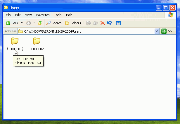 "NTUSER.DAT" is found in the Users\00000001 subdirectory.