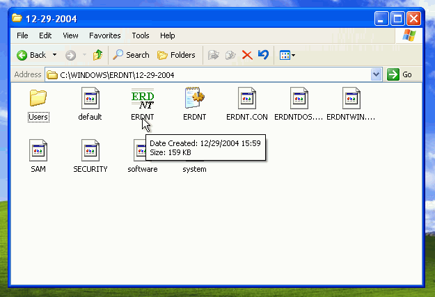 Double-click "ERDNT" to launch it.